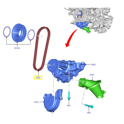 Genuine Oil Pump Belt to suit 2.0L VO / VN Custom / Ecoblue Ford Transit GK2Q6B651AA / 2011555